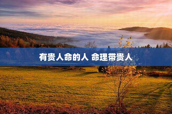 有贵人命的人 命理带贵人