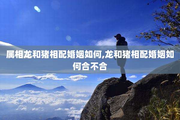 属相龙和猪相配婚姻如何,龙和猪相配婚姻如何合不合