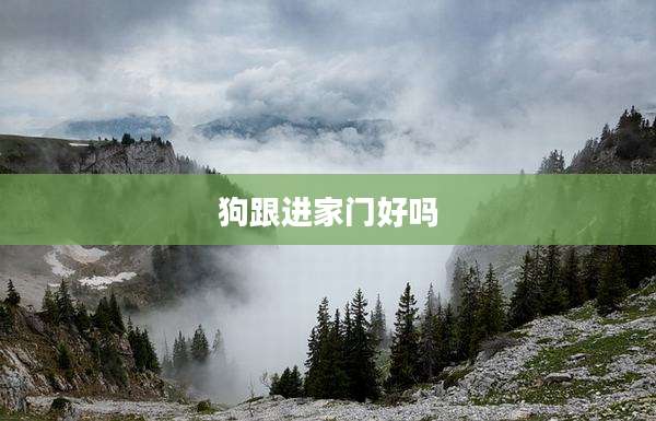 狗跟进家门好吗