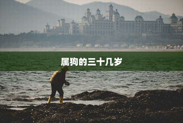 属狗的三十几岁