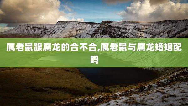 属老鼠跟属龙的合不合,属老鼠与属龙婚姻配吗