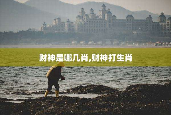 财神是哪几肖,财神打生肖