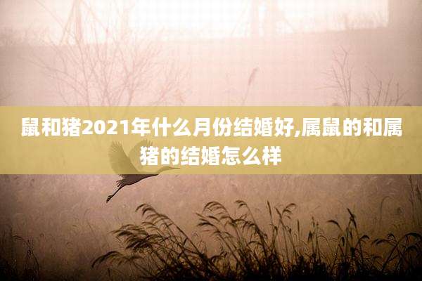 鼠和猪2021年什么月份结婚好,属鼠的和属猪的结婚怎么样