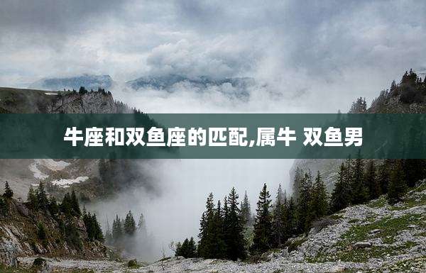 牛座和双鱼座的匹配,属牛 双鱼男
