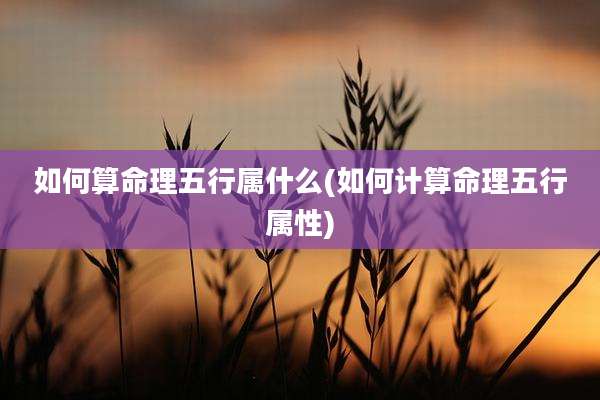 如何算命理五行属什么(如何计算命理五行属性)