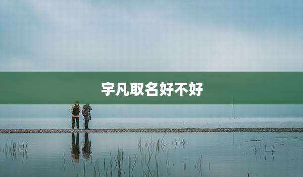 宇凡取名好不好