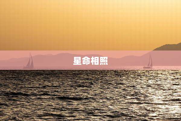 星命相照