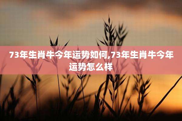 73年生肖牛今年运势如何,73年生肖牛今年运势怎么样