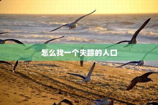 怎么找一个失踪的人口