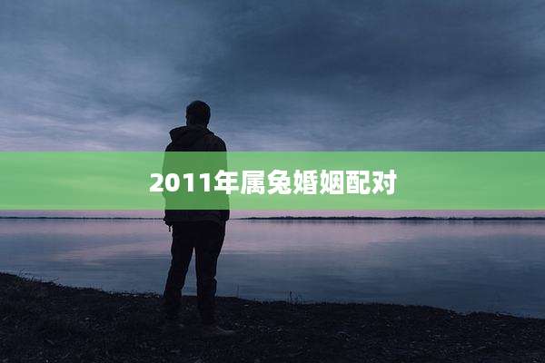 2011年属兔婚姻配对