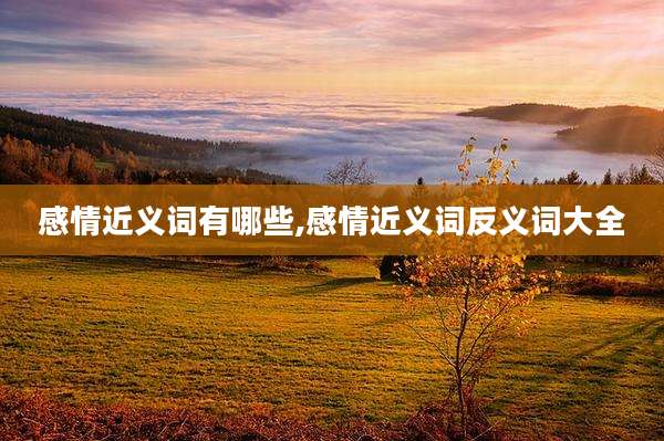 感情近义词有哪些,感情近义词反义词大全