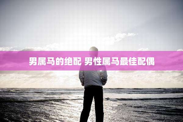 男属马的绝配 男性属马最佳配偶