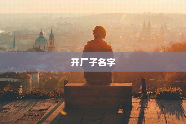 开厂子名字