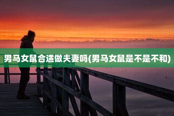 男马女鼠合适做夫妻吗(男马女鼠是不是不和)