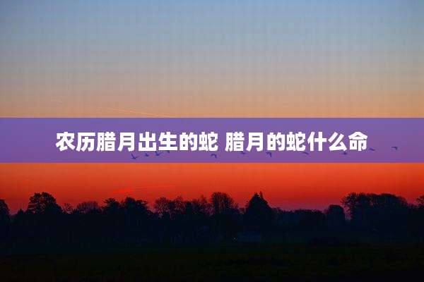 农历腊月出生的蛇 腊月的蛇什么命