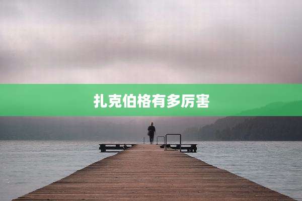 扎克伯格有多厉害