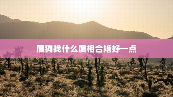 属狗找什么属相合婚好一点