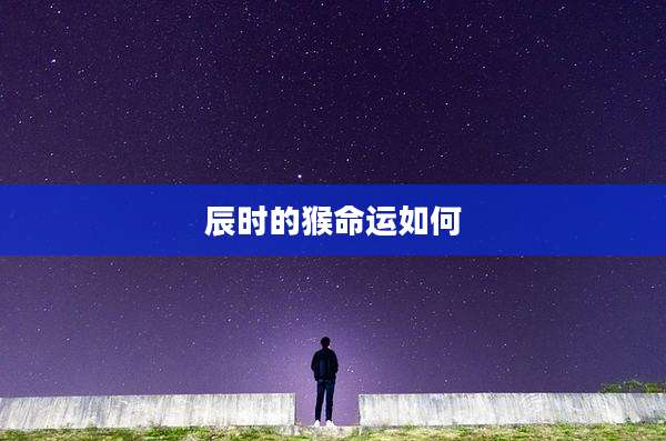 辰时的猴命运如何