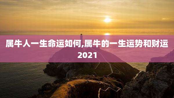 属牛人一生命运如何,属牛的一生运势和财运2021