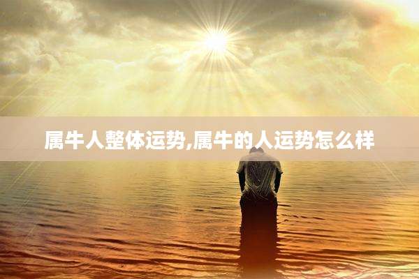 属牛人整体运势,属牛的人运势怎么样