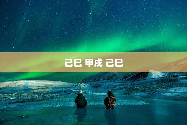 己巳 甲戌 己巳