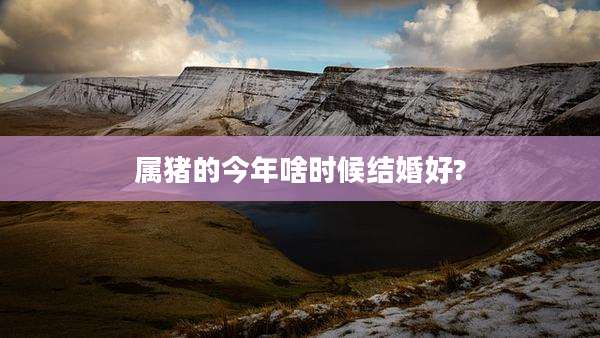 属猪的今年啥时候结婚好?