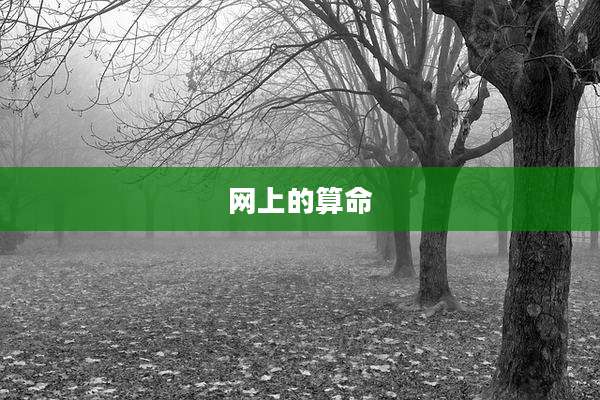 网上的算命