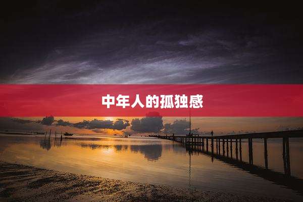 中年人的孤独感