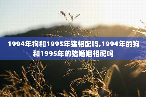 1994年狗和1995年猪相配吗,1994年的狗和1995年的猪婚姻相配吗
