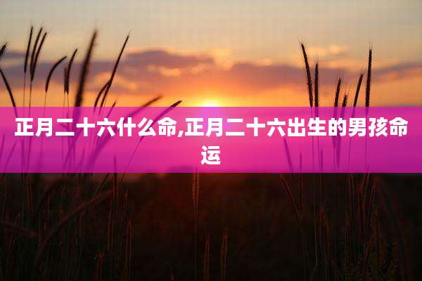 正月二十六什么命,正月二十六出生的男孩命运