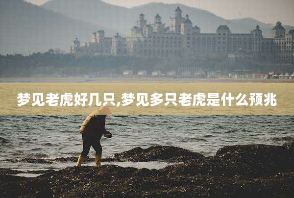 梦见老虎好几只,梦见多只老虎是什么预兆