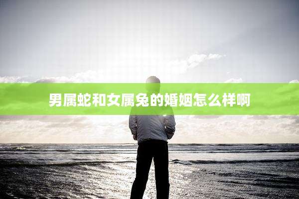 男属蛇和女属兔的婚姻怎么样啊