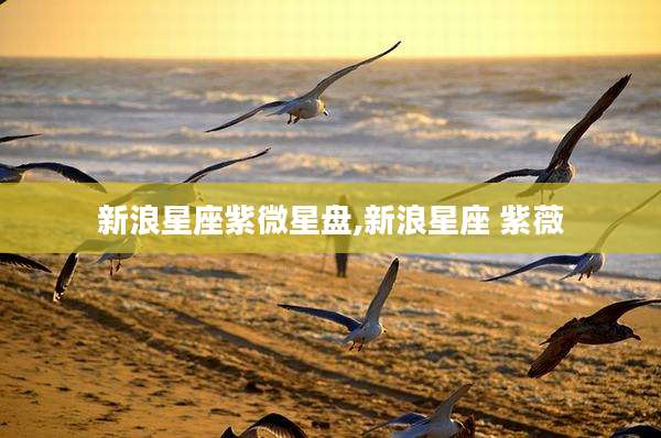 新浪星座紫微星盘,新浪星座 紫薇