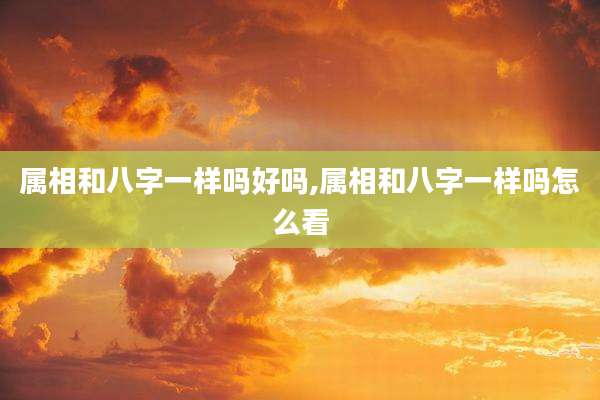 属相和八字一样吗好吗,属相和八字一样吗怎么看