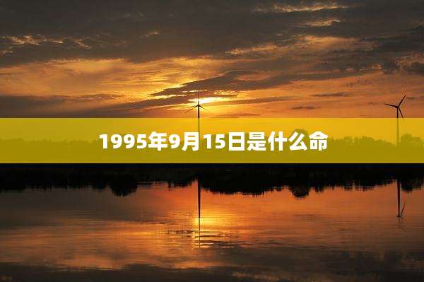 1995年9月15日是什么命