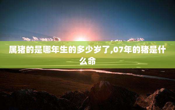 属猪的是哪年生的多少岁了,07年的猪是什么命
