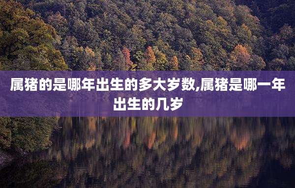 属猪的是哪年出生的多大岁数,属猪是哪一年出生的几岁