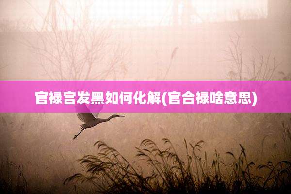 官禄宫发黑如何化解(官合禄啥意思)