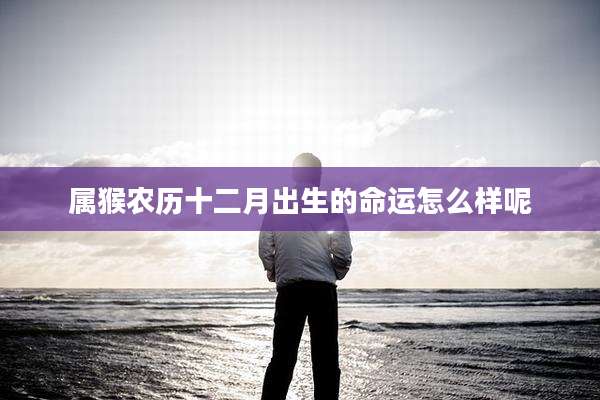 属猴农历十二月出生的命运怎么样呢
