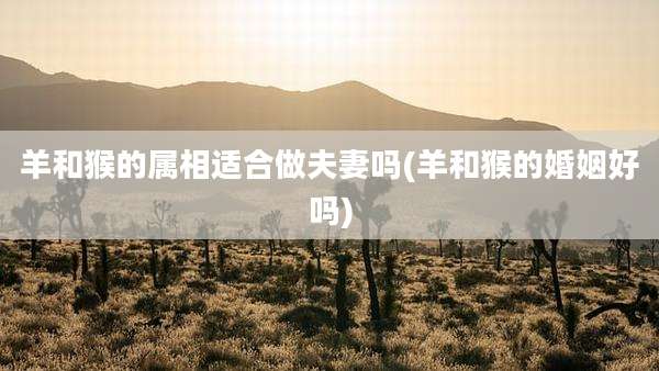 羊和猴的属相适合做夫妻吗(羊和猴的婚姻好吗)