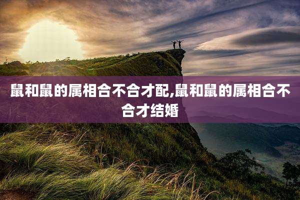 鼠和鼠的属相合不合才配,鼠和鼠的属相合不合才结婚