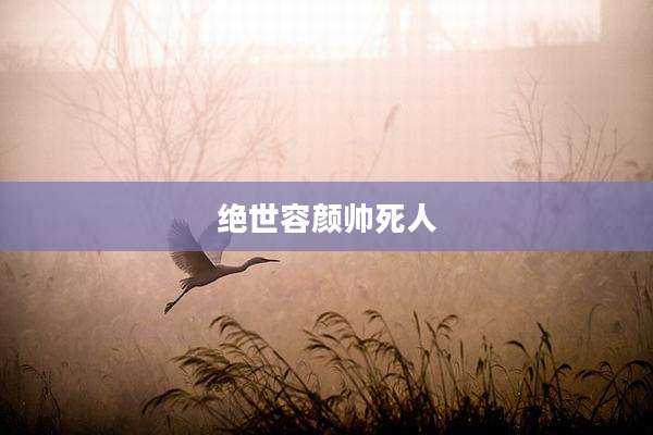 绝世容颜帅死人