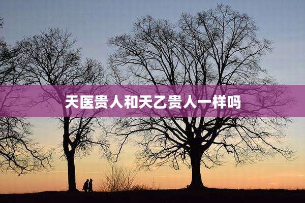 天医贵人和天乙贵人一样吗
