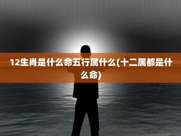 12生肖是什么命五行属什么(十二属都是什么命)