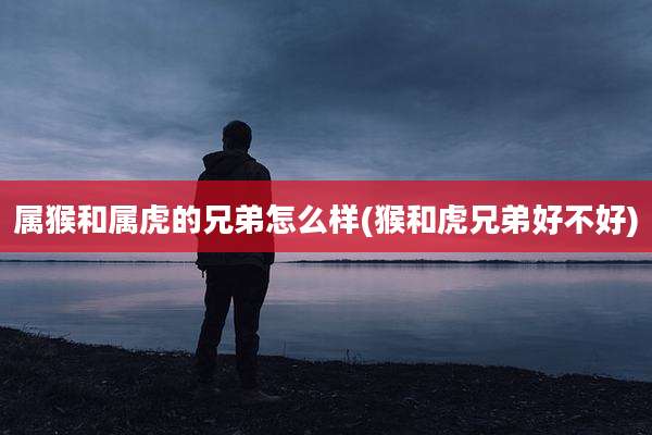 属猴和属虎的兄弟怎么样(猴和虎兄弟好不好)