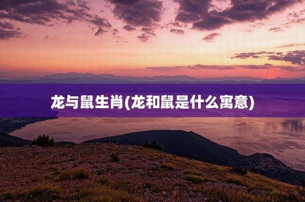 龙与鼠生肖(龙和鼠是什么寓意)