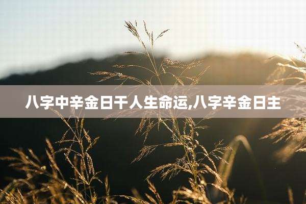 八字中辛金日干人生命运,八字辛金日主