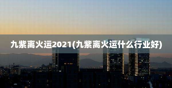 九紫离火运2021(九紫离火运什么行业好)