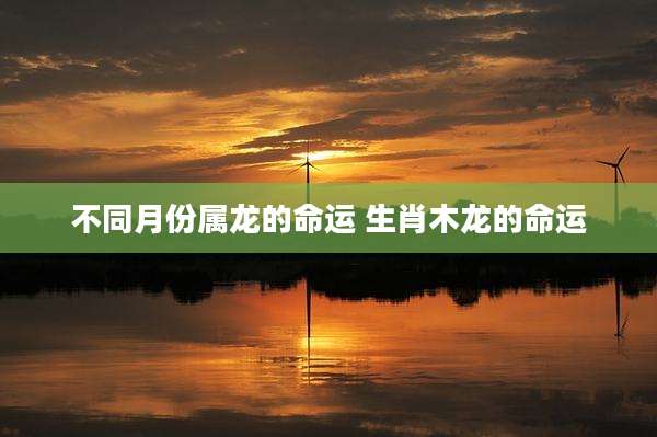 不同月份属龙的命运 生肖木龙的命运