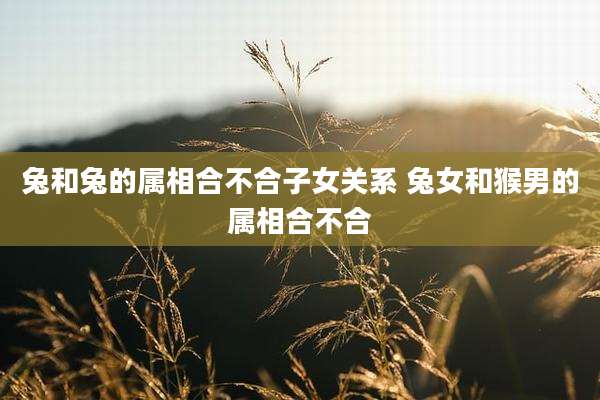 兔和兔的属相合不合子女关系 兔女和猴男的属相合不合